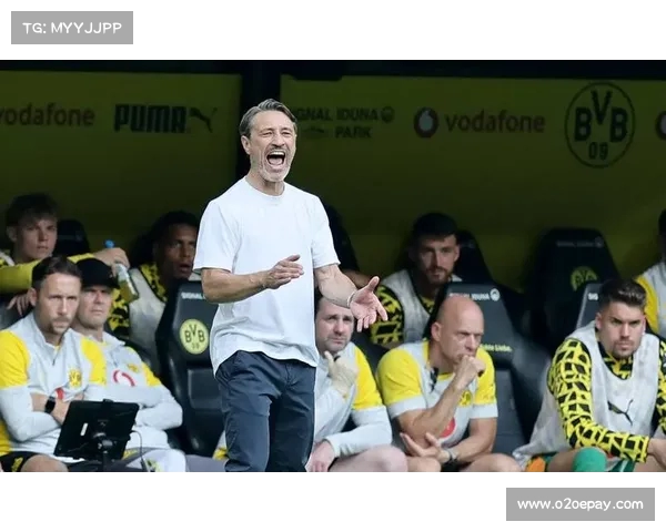 柏林联盟崛起之路:德甲新力量的成长与挑战 柏林联盟崛起之路:德甲新力量的成长与挑战